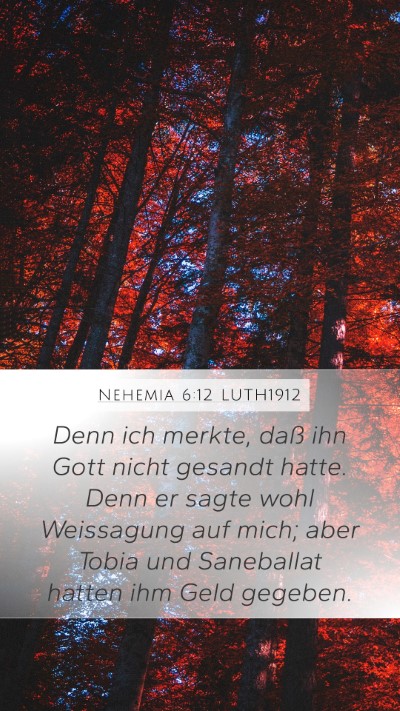 Nehemia 6:12 LUTH1912 Bible Verse Image