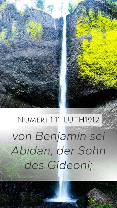 Numeri 1:11 LUTH1912 Bible Verse Image