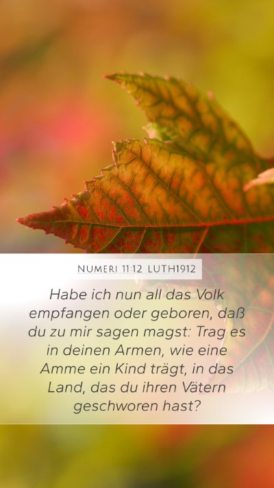 Numeri 11:12 LUTH1912 Bible Verse Image
