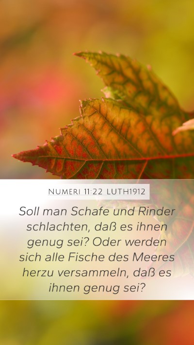 Numeri 11:22 LUTH1912 Mobile Phone Wallpaper - Soll man Schafe und Rinder schlachten, daß es - Mobile Bible Verse Wallpaper
