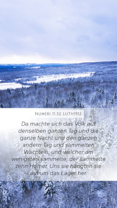 Numeri 11:32 LUTH1912 Mobile Phone Wallpaper - Da machte sich das Volk auf denselben ganzen Tag - Mobile Bible Verse Wallpaper