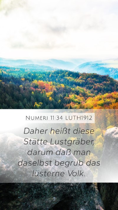 Numeri 11:34 LUTH1912 Bible Verse Image