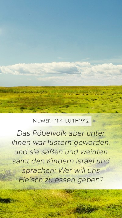 Numeri 11:4 LUTH1912 Bible Verse Image