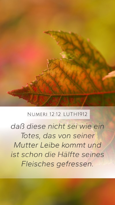 Numeri 12:12 LUTH1912 Mobile Phone Wallpaper - daß diese nicht sei wie ein Totes, das von - Mobile Bible Verse Wallpaper