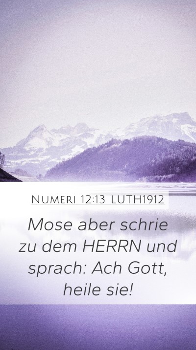 Numeri 12:13 LUTH1912 Bible Verse Image