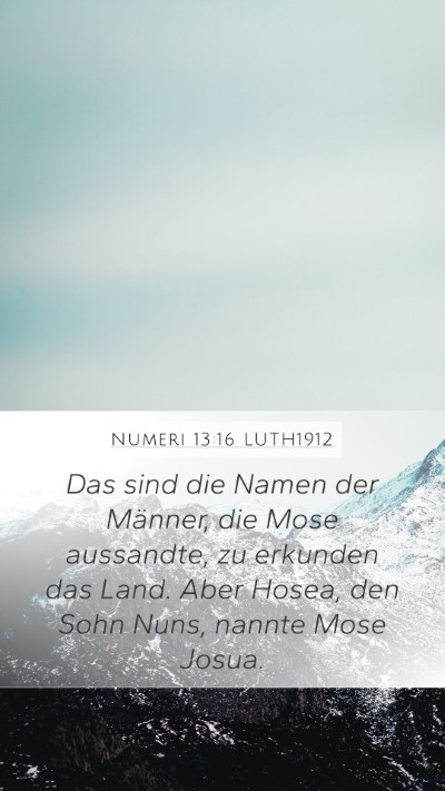 Numeri 13:16 LUTH1912 Bible Verse Image