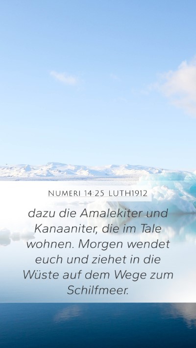 Numeri 14:25 LUTH1912 Bible Verse Image