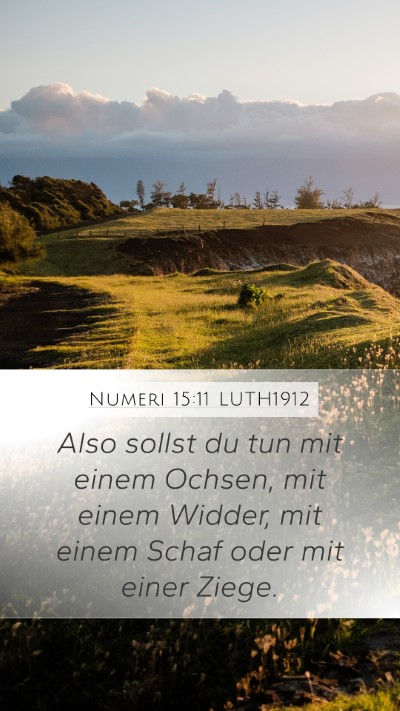 Numeri 15:11 LUTH1912 Bible Verse Image