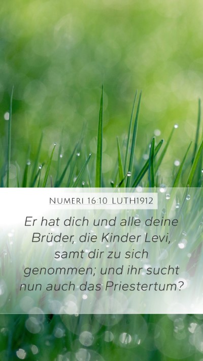 Numeri 16:10 LUTH1912 Mobile Phone Wallpaper - Er hat dich und alle deine Brüder, die Kinder - Mobile Bible Verse Wallpaper
