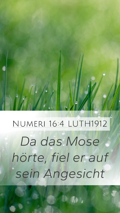Numeri 16:4 LUTH1912 Mobile Phone Wallpaper - Da das Mose hörte, fiel er auf sein - Mobile Bible Verse Wallpaper