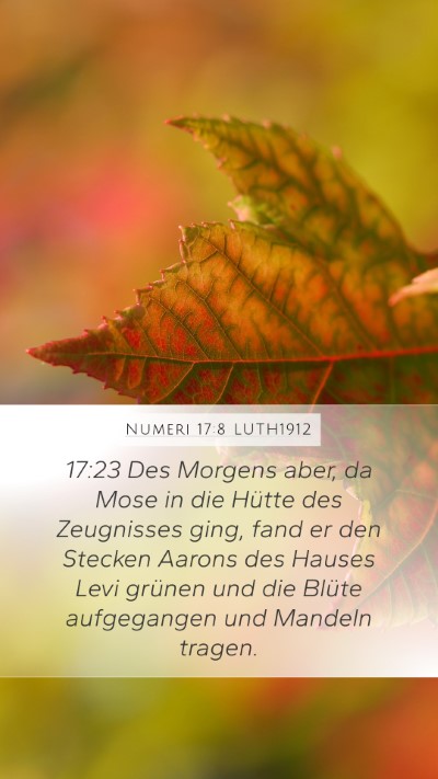 Numeri 17:8 LUTH1912 Bible Verse Image