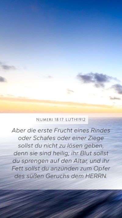 Numeri 18:17 LUTH1912 Mobile Phone Wallpaper - Aber die erste Frucht eines Rindes oder Schafes - Mobile Bible Verse Wallpaper