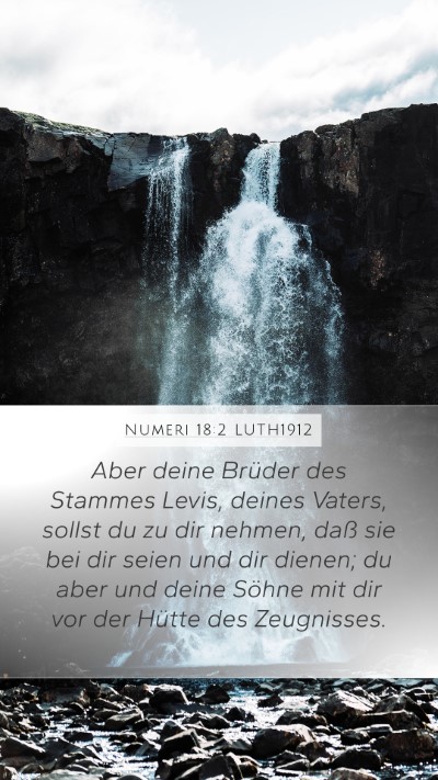 Numeri 18:2 LUTH1912 Bible Verse Image