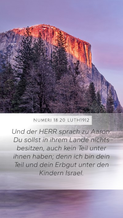 Numeri 18:20 LUTH1912 Bible Verse Image