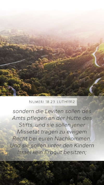 Numeri 18:23 LUTH1912 Bible Verse Image