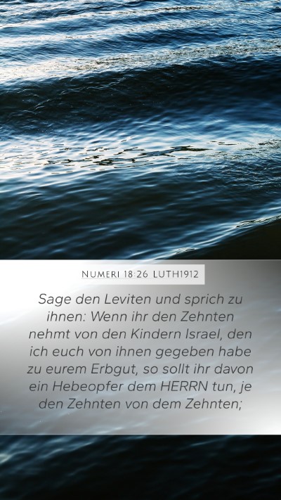 Numeri 18:26 LUTH1912 Bible Verse Image