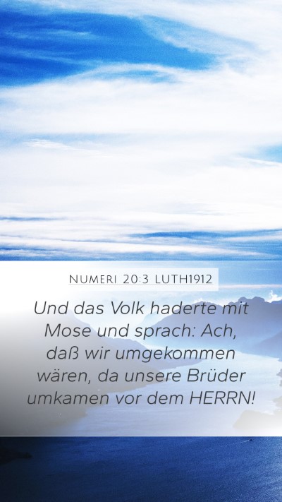 Numeri 20:3 LUTH1912 Bible Verse Image