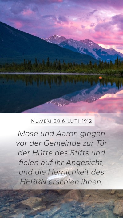 Numeri 20:6 LUTH1912 Bible Verse Image