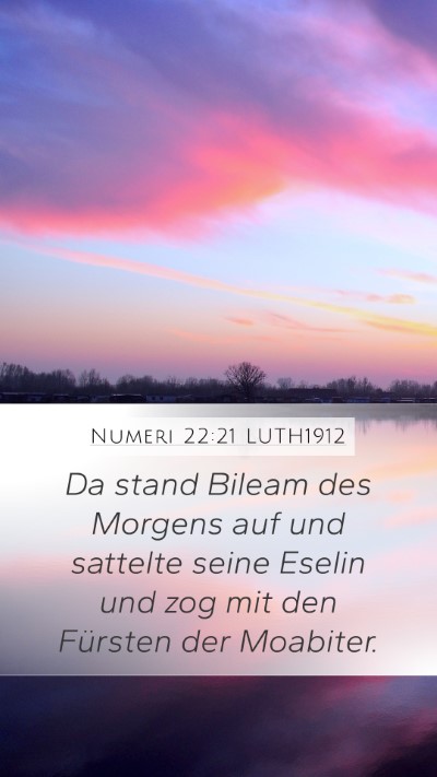 Numeri 22:21 LUTH1912 Bible Verse Image