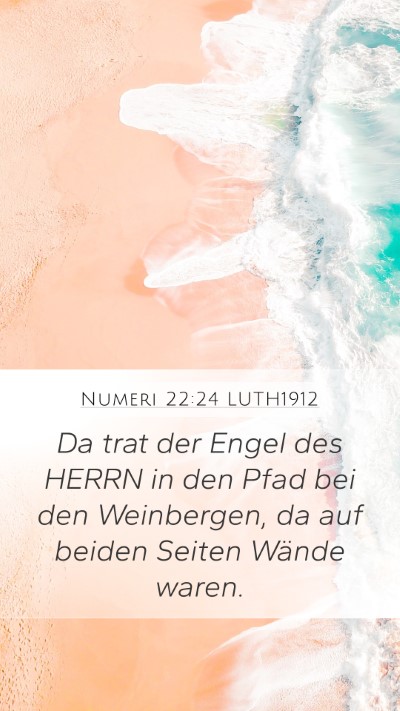 Numeri 22:24 LUTH1912 Mobile Phone Wallpaper - Da trat der Engel des HERRN in den Pfad bei den - Mobile Bible Verse Wallpaper