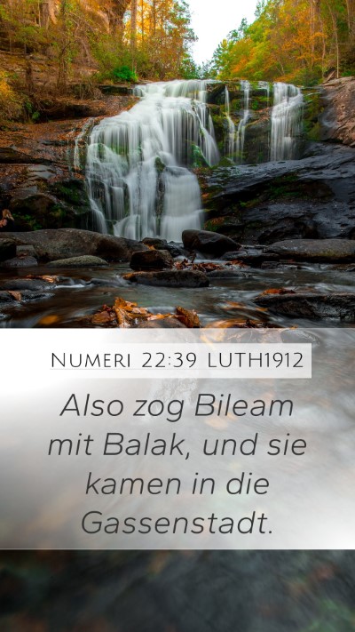 Numeri 22:39 LUTH1912 Mobile Phone Wallpaper - Also zog Bileam mit Balak, und sie kamen in die - Mobile Bible Verse Wallpaper