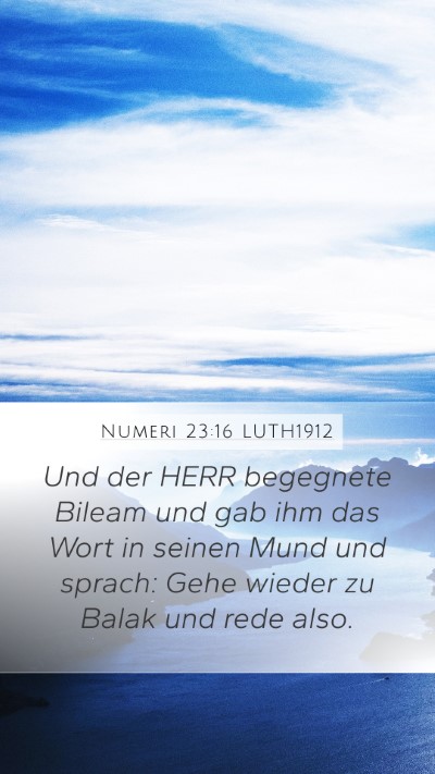 Numeri 23:16 LUTH1912 Bible Verse Image