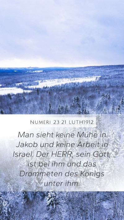 Numeri 23:21 LUTH1912 Mobile Phone Wallpaper - Man sieht keine Mühe in Jakob und keine Arbeit - Mobile Bible Verse Wallpaper
