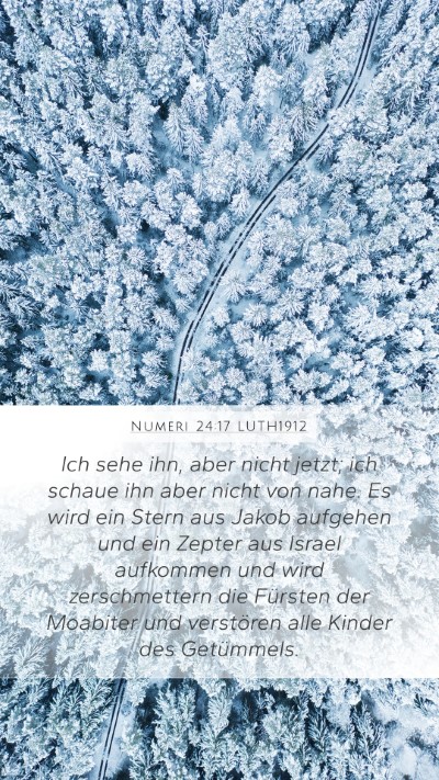Numeri 24:17 LUTH1912 Bible Verse Image