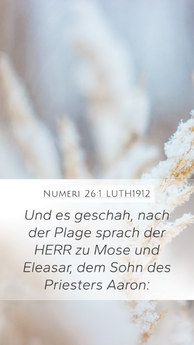 Numeri 26:1 LUTH1912 Bible Verse Image