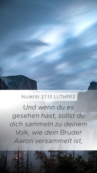 Numeri 27:13 LUTH1912 Bible Verse Image