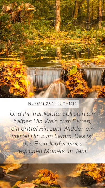Numeri 28:14 LUTH1912 Mobile Phone Wallpaper - Und ihr Trankopfer soll sein ein halbes Hin Wein - Mobile Bible Verse Wallpaper