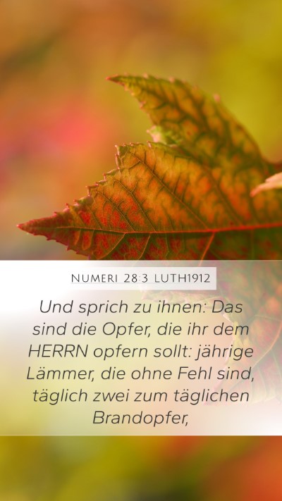 Numeri 28:3 LUTH1912 Mobile Phone Wallpaper - Und sprich zu ihnen: Das sind die Opfer, die ihr - Mobile Bible Verse Wallpaper
