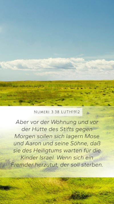 Numeri 3:38 LUTH1912 Bible Verse Image