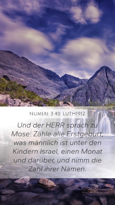 Numeri 3:40 LUTH1912 Bible Verse Image