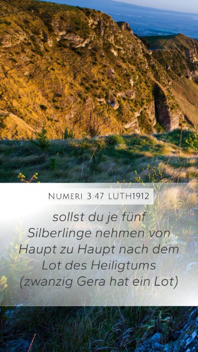 Numeri 3:47 LUTH1912 Bible Verse Image