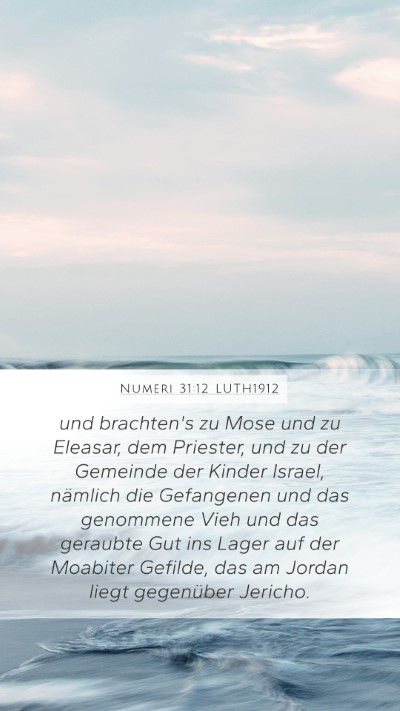 Numeri 31:12 LUTH1912 Bible Verse Image