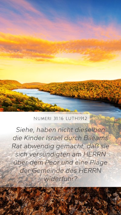 Numeri 31:16 LUTH1912 Bible Verse Image