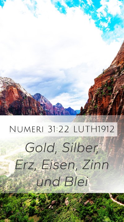 Numeri 31:22 LUTH1912 Bible Verse Image