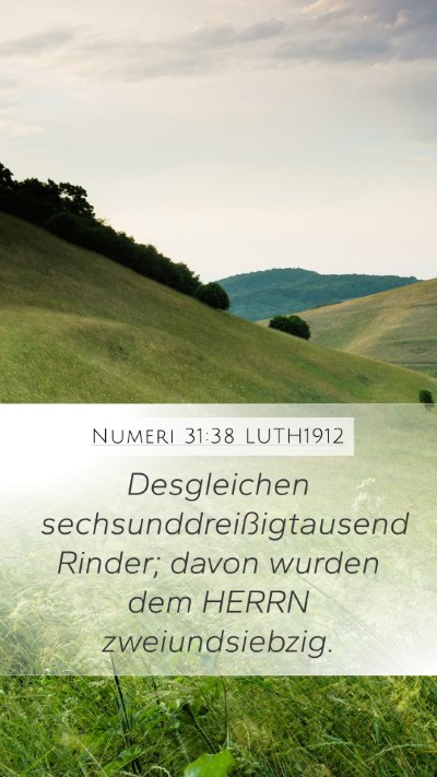Numeri 31:38 LUTH1912 Mobile Phone Wallpaper - Desgleichen sechsunddreißigtausend Rinder; davon - Mobile Bible Verse Wallpaper