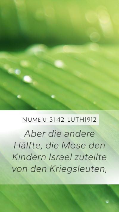 Numeri 31:42 LUTH1912 Mobile Phone Wallpaper - Aber die andere Hälfte, die Mose den Kindern - Mobile Bible Verse Wallpaper