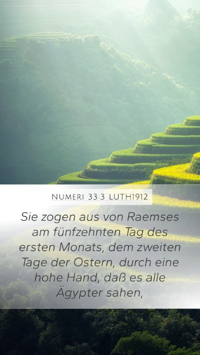 Numeri 33:3 LUTH1912 Bible Verse Image
