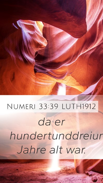 Numeri 33:39 LUTH1912 Mobile Phone Wallpaper - da er hundertunddreiundzwanzig Jahre alt - Mobile Bible Verse Wallpaper