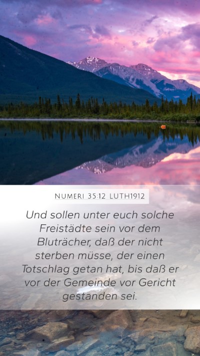 Numeri 35:12 LUTH1912 Bible Verse Image