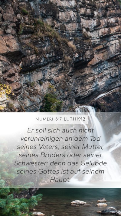 Numeri 6:7 LUTH1912 Bible Verse Image