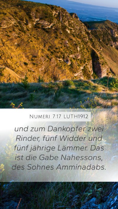 Numeri 7:17 LUTH1912 Bible Verse Image