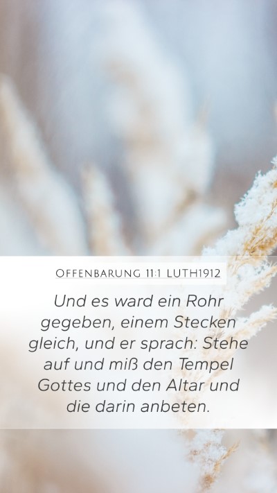Offenbarung 11:1 LUTH1912 Bible Verse Image