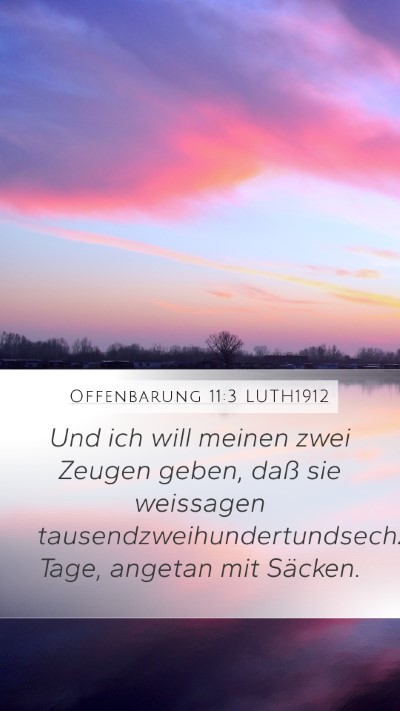 Offenbarung 11:3 LUTH1912 Bible Verse Image