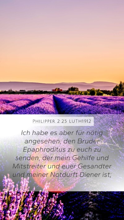 Philipper 2:25 LUTH1912 Bible Verse Image