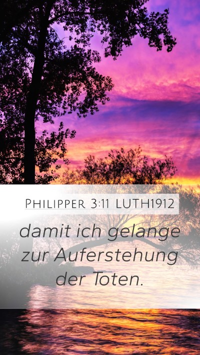 Philipper 3:11 LUTH1912 Bible Verse Image