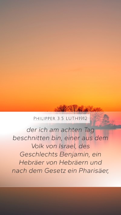 Philipper 3:5 LUTH1912 Bible Verse Image